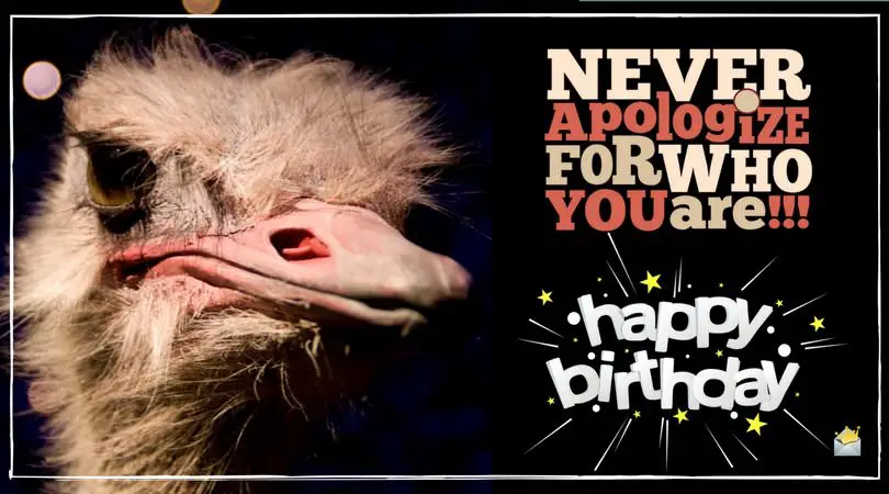 Never apologize for who you are!!! Happy Birthday.