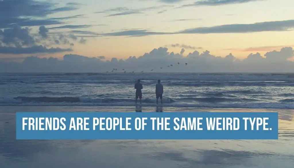 Friends are people of the same weird type.
