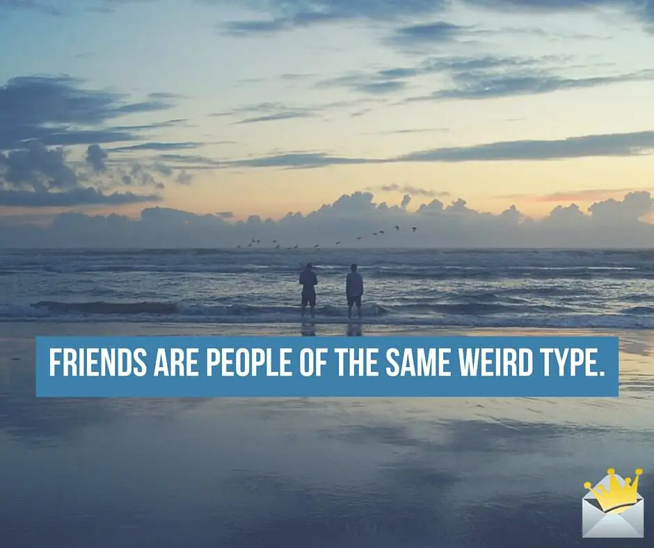 Friends are people of the same weird type.