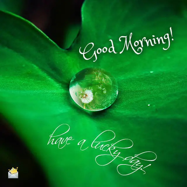 Good Morning Images