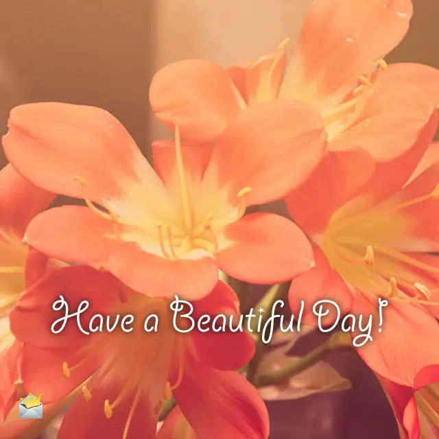 Good Morning Images