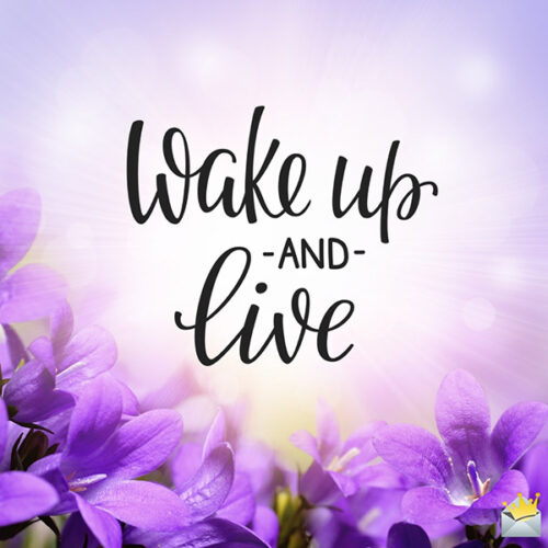 Wake up and live.