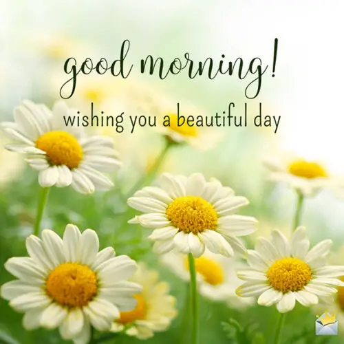 Good morning. Wishing you a beautiful day.