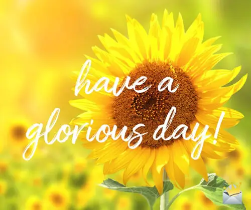 Have a glorious day.