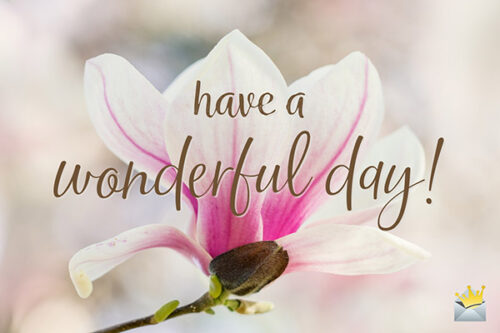Have a wonderful day.