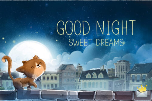 Good night. Sweet dreams.