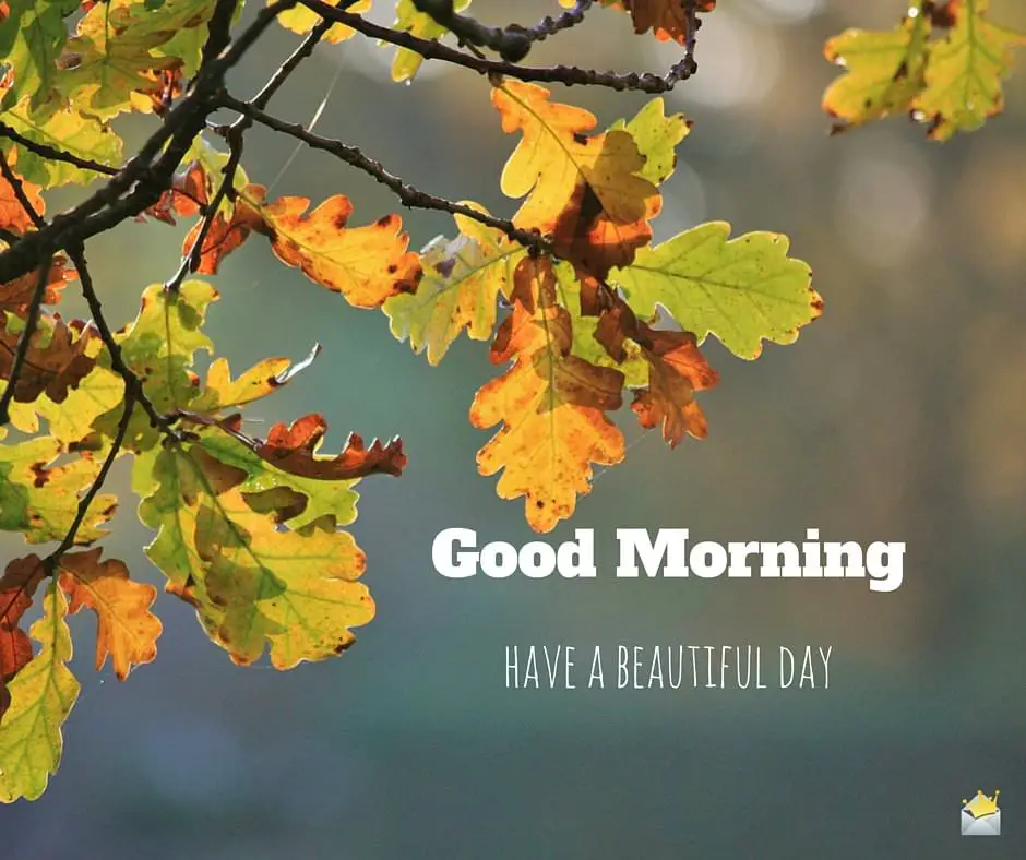 16 Good Morning Images to Make You Smile