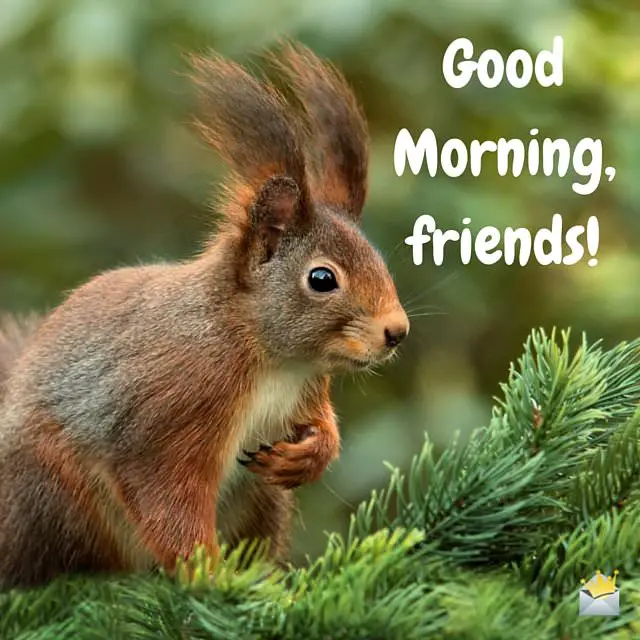 16 Good Morning Images to Make You Smile 16 Good Morning Images to Make You Smile