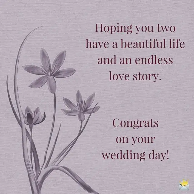 Wedding Wishes  Messages for a Newly Married Couple