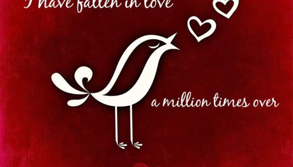 I have fallen in love a million times over - with you.