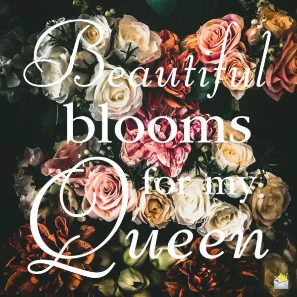 Beautiful Blooms for my Queen