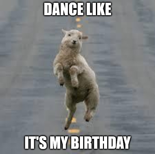 Dance like it's my birthday Dancing sheep meme