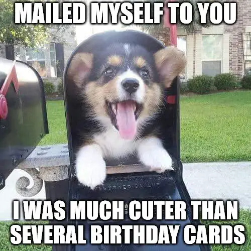 Mailed myself to you, I was much cuter than several birthday cards.