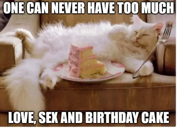 One can never have too much love, sex and birthday cake.