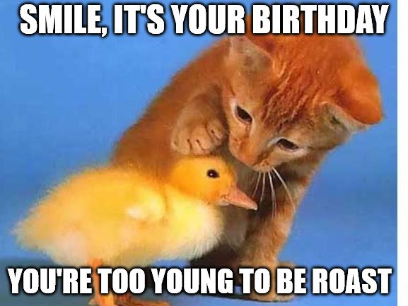 The 15 Best Happy Birthday Memes Of 2020