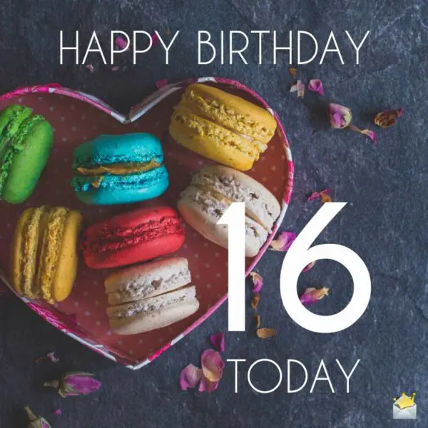 Happy Birthday | 16 Today!