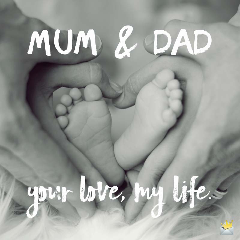 Love Quotes For Mom And Dad A Family Affair