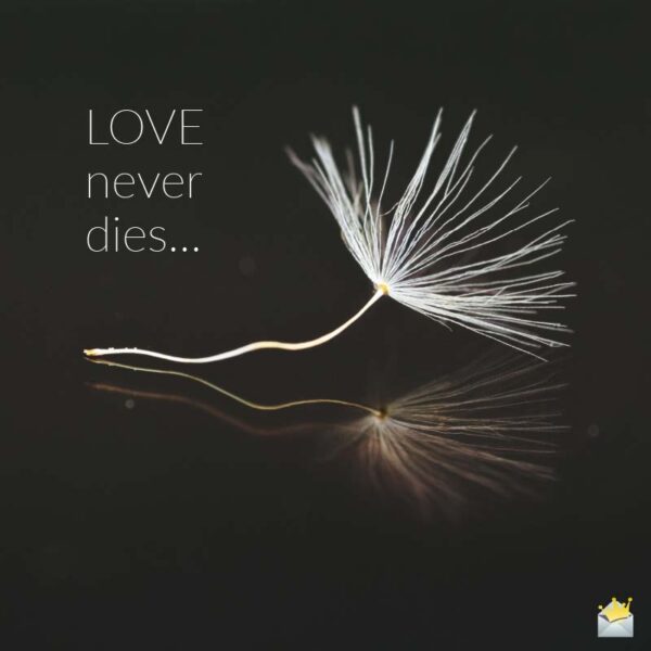 Love never dies...