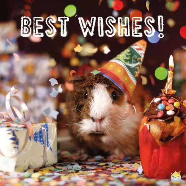 Best Wishes!