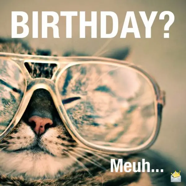 Birthday? Meuh...