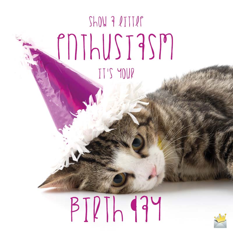Birthday Wishes With Cats