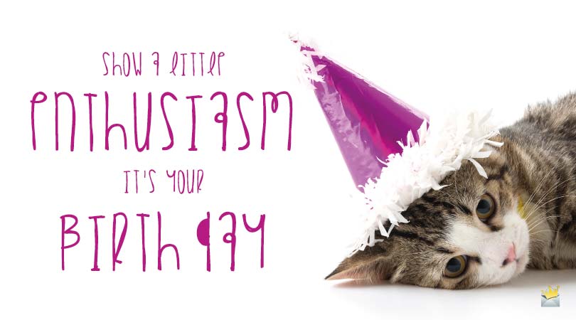 Happy_Birthday_Cat_header