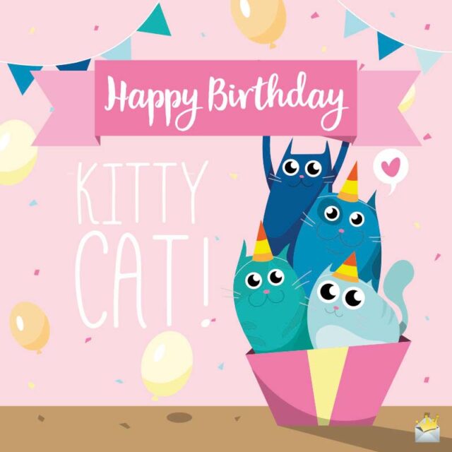 39 Birthday Wishes for Cats | Happy Bday, Kittie!