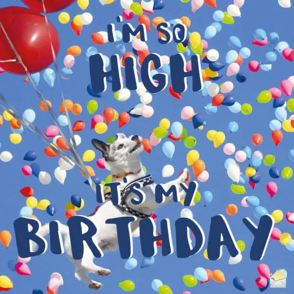 I'm so high, it's my birthday!