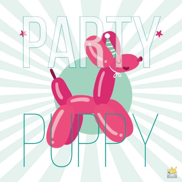 Party Puppy