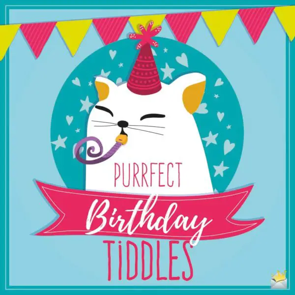 Purrfect Birthday Tiddles