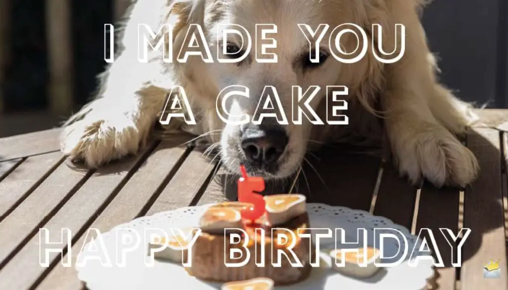 Happy_Birthday_Dog_Lovers_headers