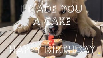 Happy_Birthday_Dog_Lovers_headers