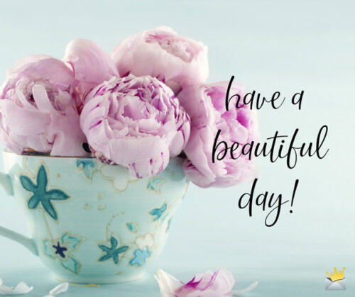 Have a beautiful day.