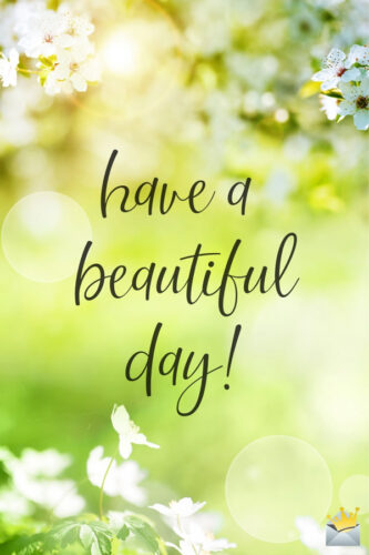 Have a beautiful day.