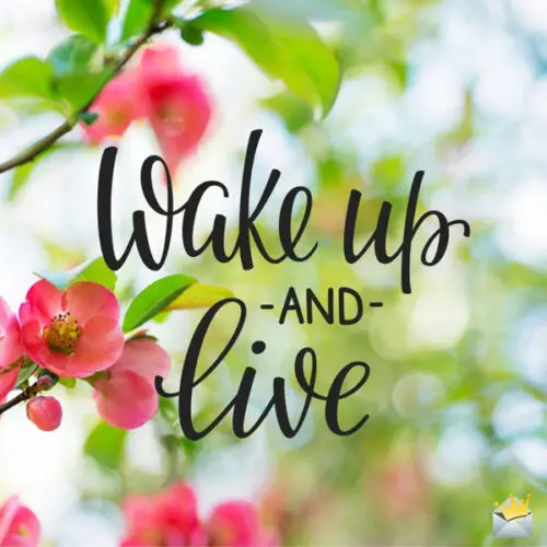 Wake up and live.