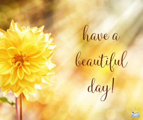 Have a beautiful day.