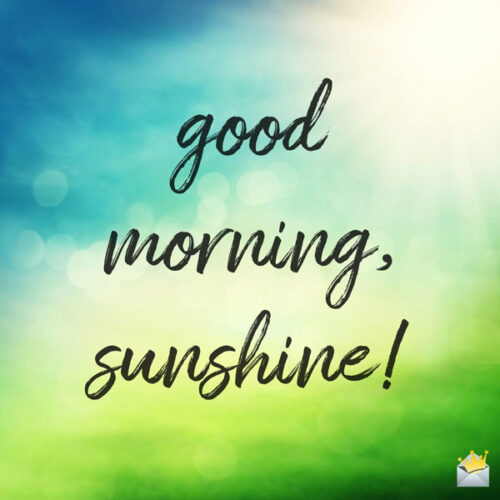 Good morning, sunshine!