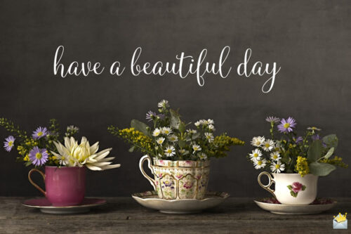 Have a beautiful day.