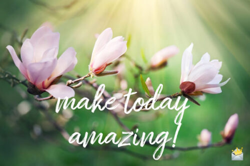 Make today amazing!