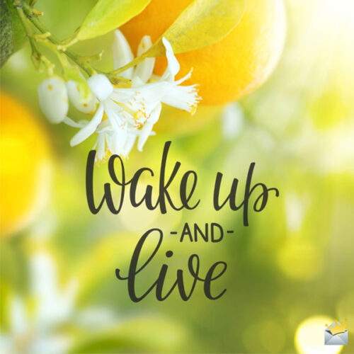 Wake up and live.