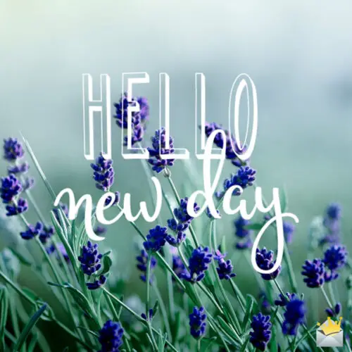 Hello, new day.