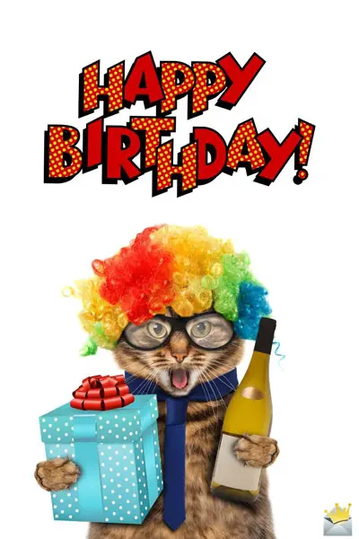 Funny Happy Birthday Images A Smile For Their Special Day