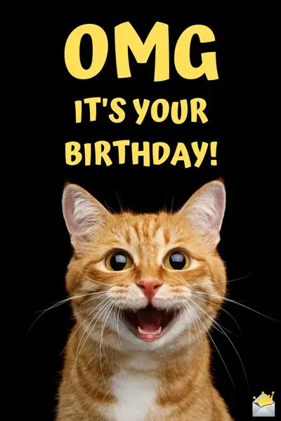 Funny Happy Birthday Images | A Smile for Their Special Day