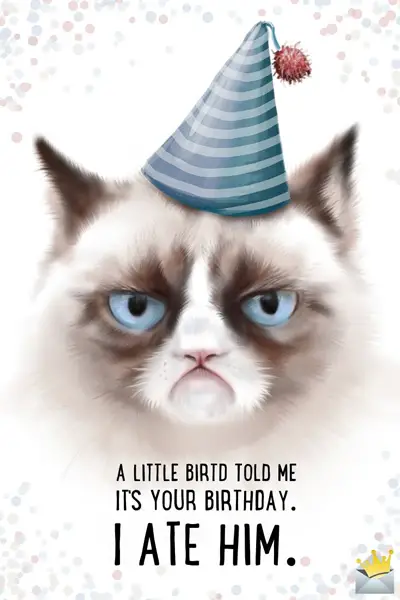 Funny Happy Birthday Images | A Smile for Their Special Day