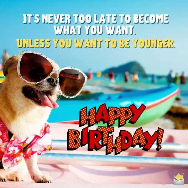 Funny Happy Birthday Images A Smile For Their Special Day