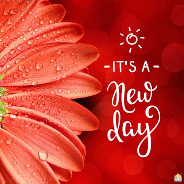 79 Good Morning Images With Flowers Have A Beautiful Day