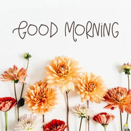 Image with flowers to say good morning in posts and chats.