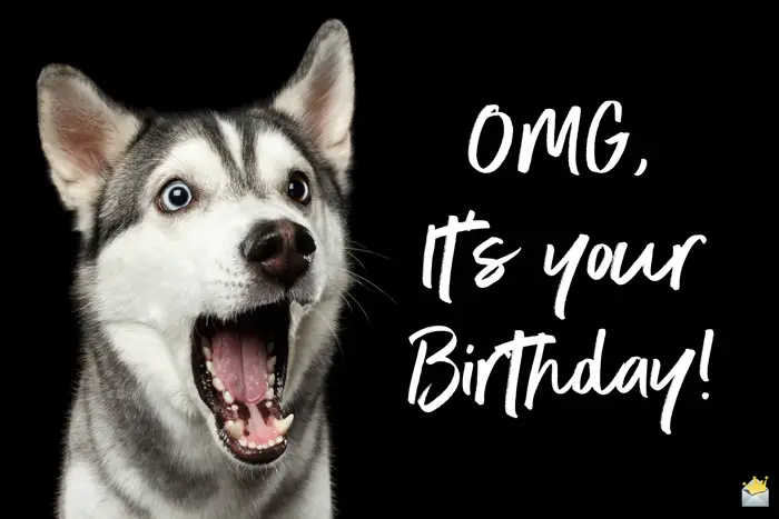 Funny birthday image to send to someone on their birthday.