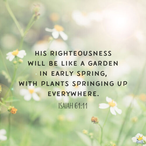 Bible verse for morning inspiration. On image with flowers for easy sharing.