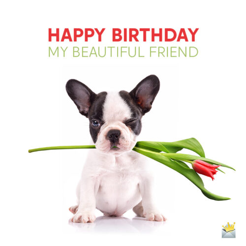 Birthday wish for female best friend.